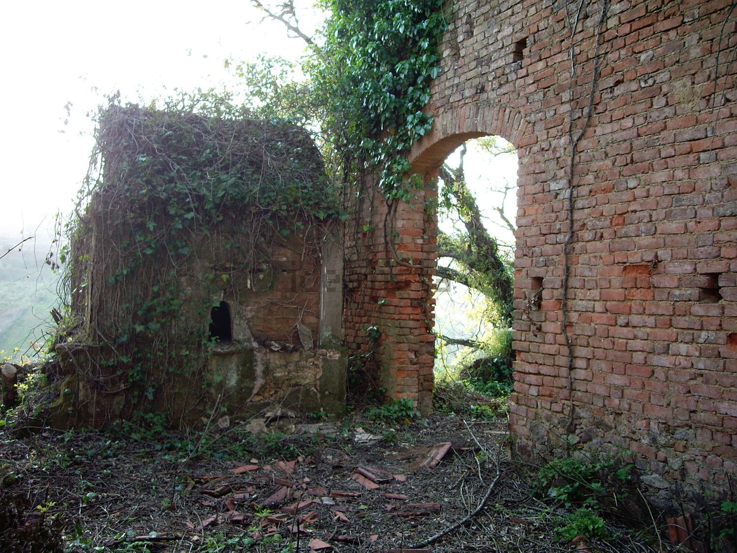 Adega voussoirs