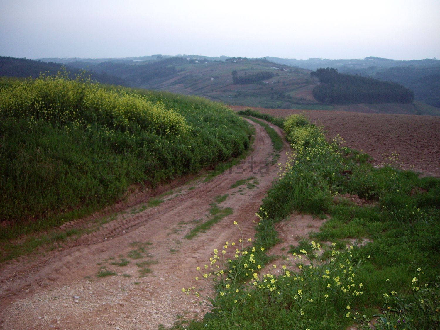 Long view over the Oeste countryside